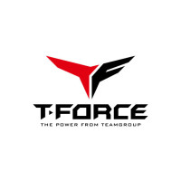 TEAM T-FORCE